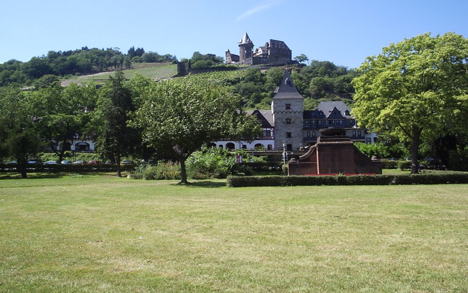 Blauer Himmel mit Burg in einem Weinberg