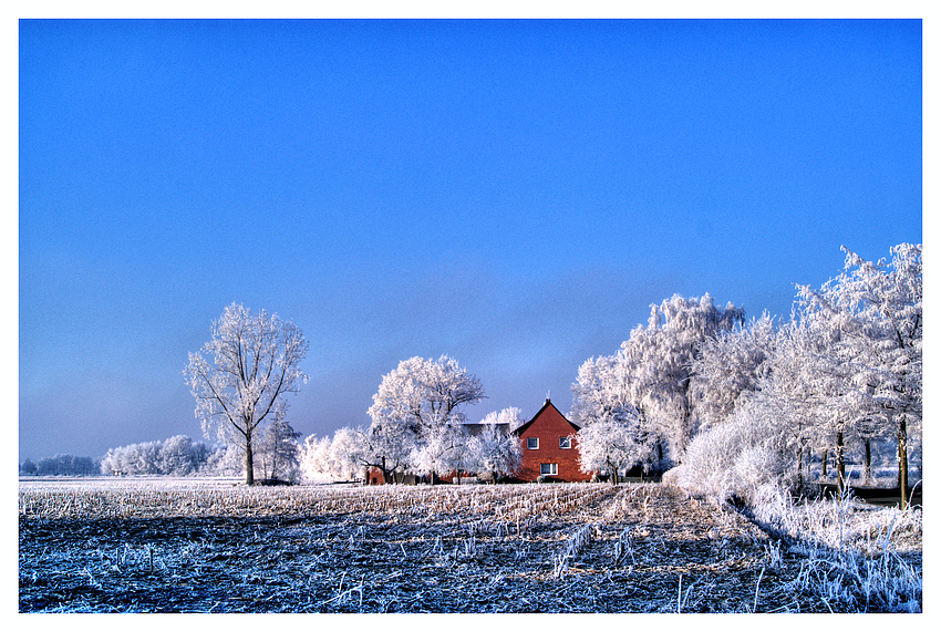 Blauer Himmel Mit Rauhreif Und Rotem Haus !