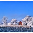 Blauer Himmel Mit Rauhreif Und Rotem Haus !