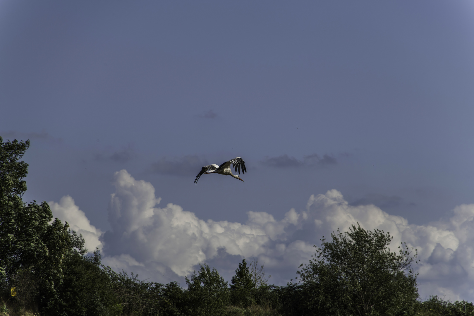 blauer Himmel mit Wolken, was will man mehr