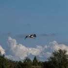 blauer Himmel mit Wolken, was will man mehr