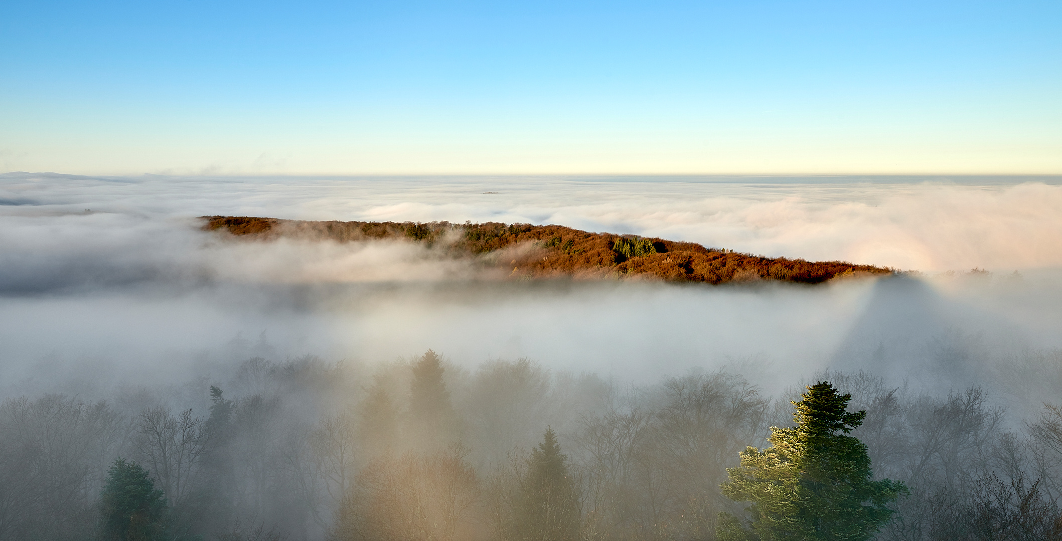 Blauer Himmel, Ruhe und Stille über dem Nebelmeer im Pfälzerwald, der Schattenwurf...