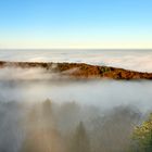 Blauer Himmel, Ruhe und Stille über dem Nebelmeer im Pfälzerwald, der Schattenwurf...