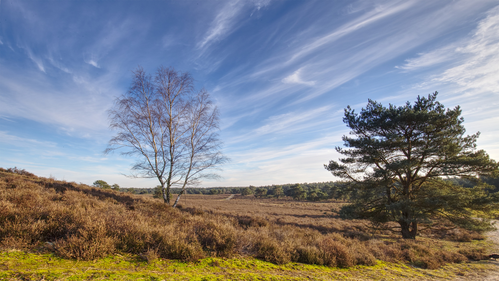 *** Blauer Himmel - Sonnenschein ***