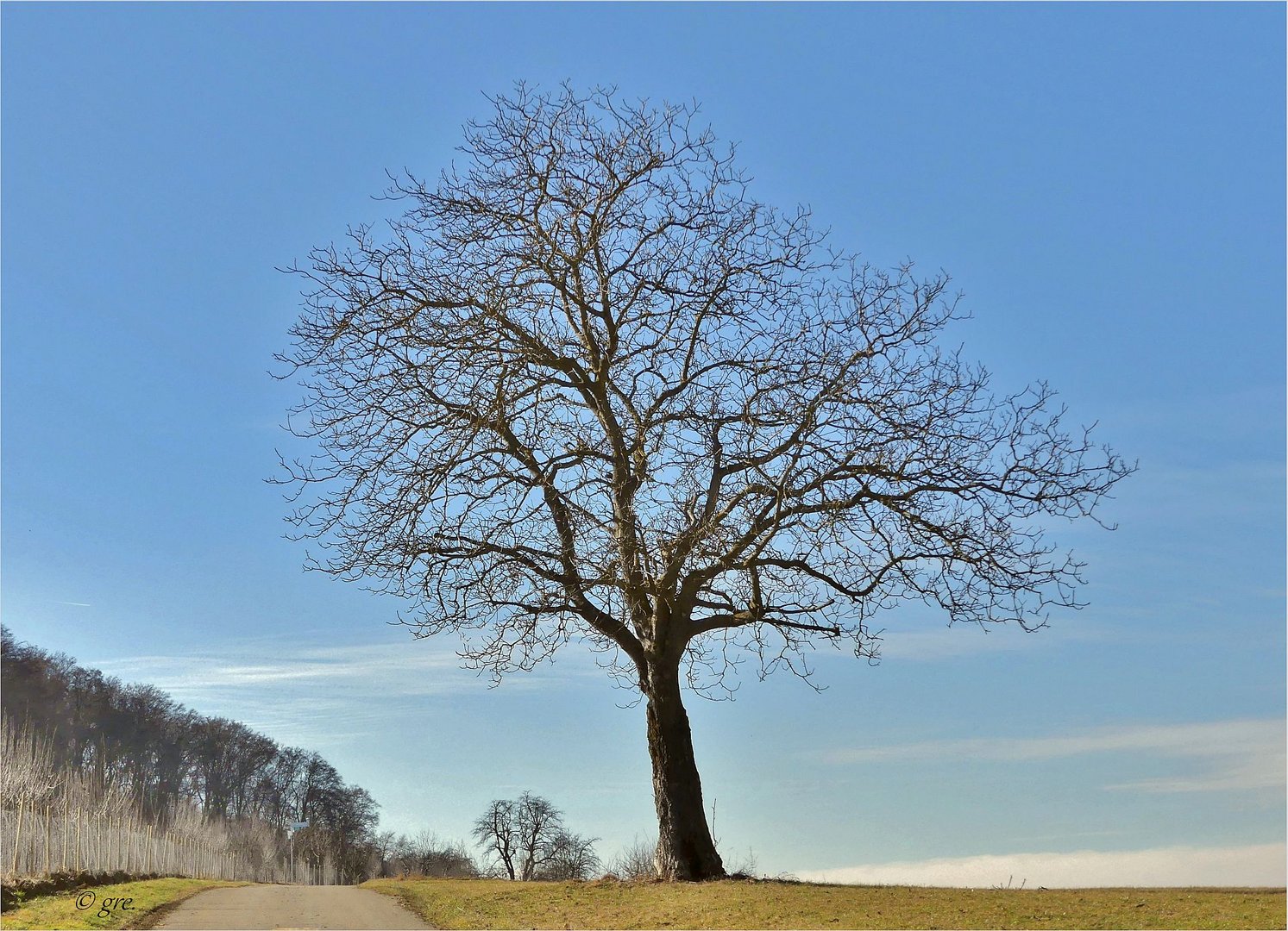 Blauer Himmel - Sonnenschein