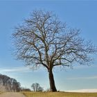 Blauer Himmel - Sonnenschein