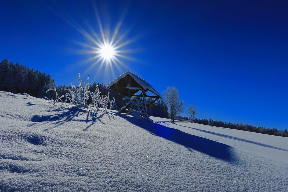 blauer Himmel, Sonnenschein….  