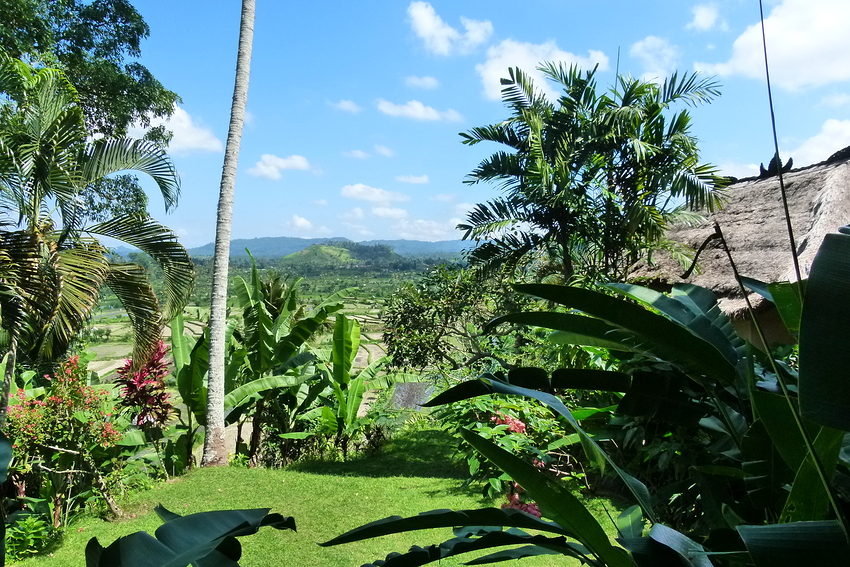 ...blauer Himmel über Bali...