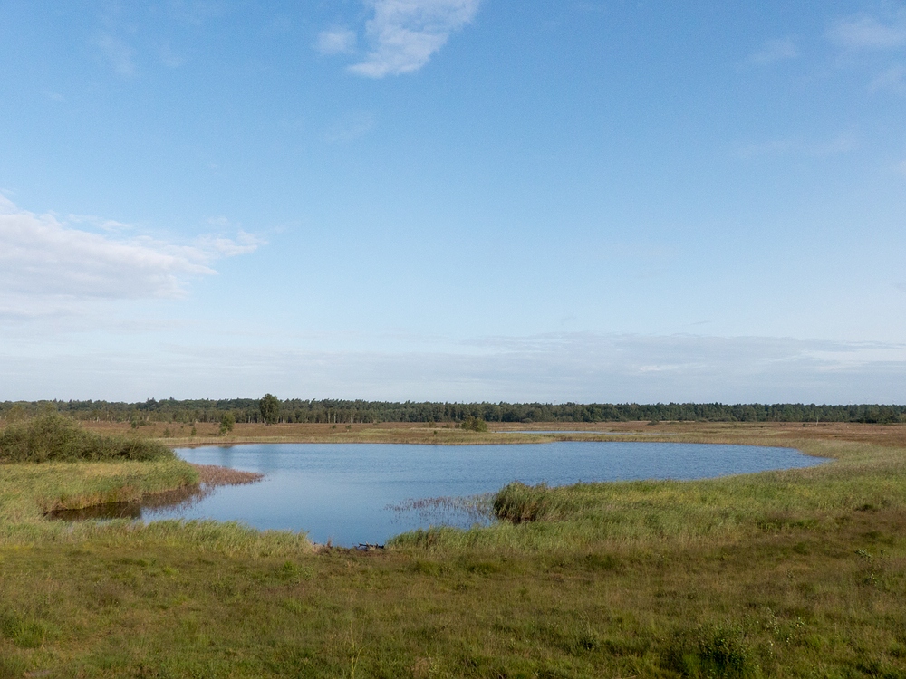 Blauer Himmel über dem Gildehauser Venn