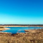 Blauer Himmel über dem Gildehauser Venn