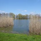 blauer Himmel über dem Jeseriger See