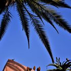 Blauer Himmel ueber den Palmen Walvisbays