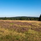 Blauer Himmel über der Hochheide