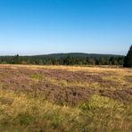 Blauer Himmel über der Hochheide