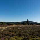 Blauer Himmel über der Hochheide