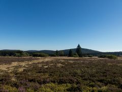 Blauer Himmel über der Hochheide