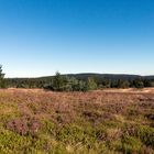 Blauer Himmel über der Hochheide