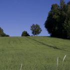 Blauer Himmel über Ermland im Juni