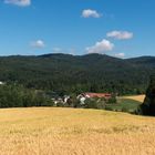 Blauer Himmel über Freudensee