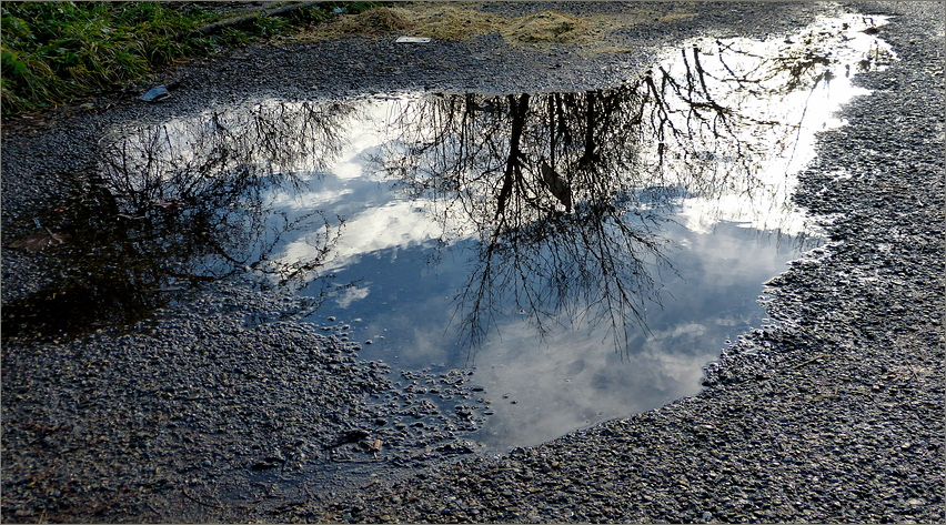 Blauer Himmel über Pfütze