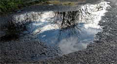 Blauer Himmel über Pfütze