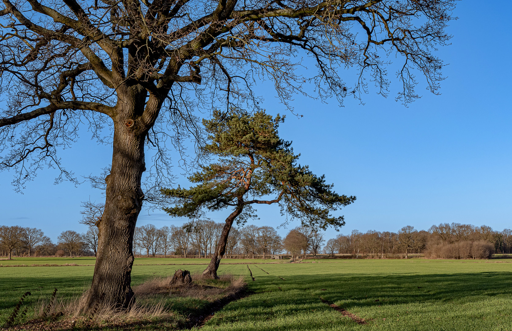 Blauer Himmel und frühlingshafte Temperaturen ...