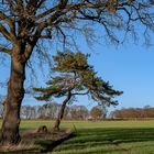 Blauer Himmel und frühlingshafte Temperaturen ...