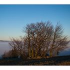 blauer himmel und nebelmeer