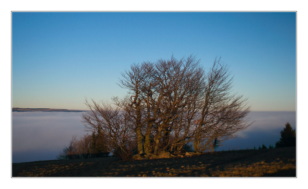 blauer himmel und nebelmeer