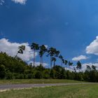 blauer Himmel und paar Wolken