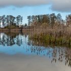 Blauer Himmel und Regenwolken