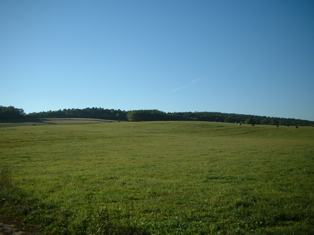 Blauer Himmel und saftige Wiesen