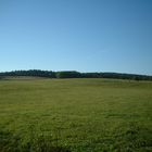 Blauer Himmel und saftige Wiesen