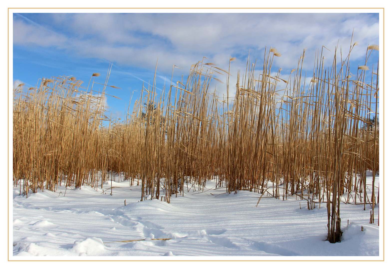 Blauer Himmel und Schnee