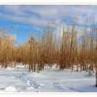 Blauer Himmel und Schnee