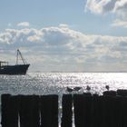 Blauer Himmel, Wolken, Meer, Schiff, Poller, Möven, Gegenlicht...