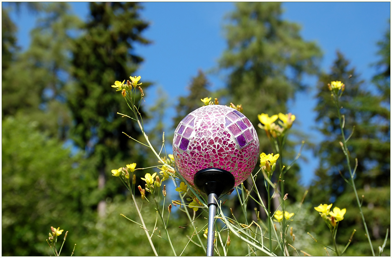 Blauer Himmerl, Wiesenblümchen und Sonne...