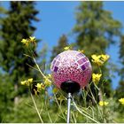 Blauer Himmerl, Wiesenblümchen und Sonne...