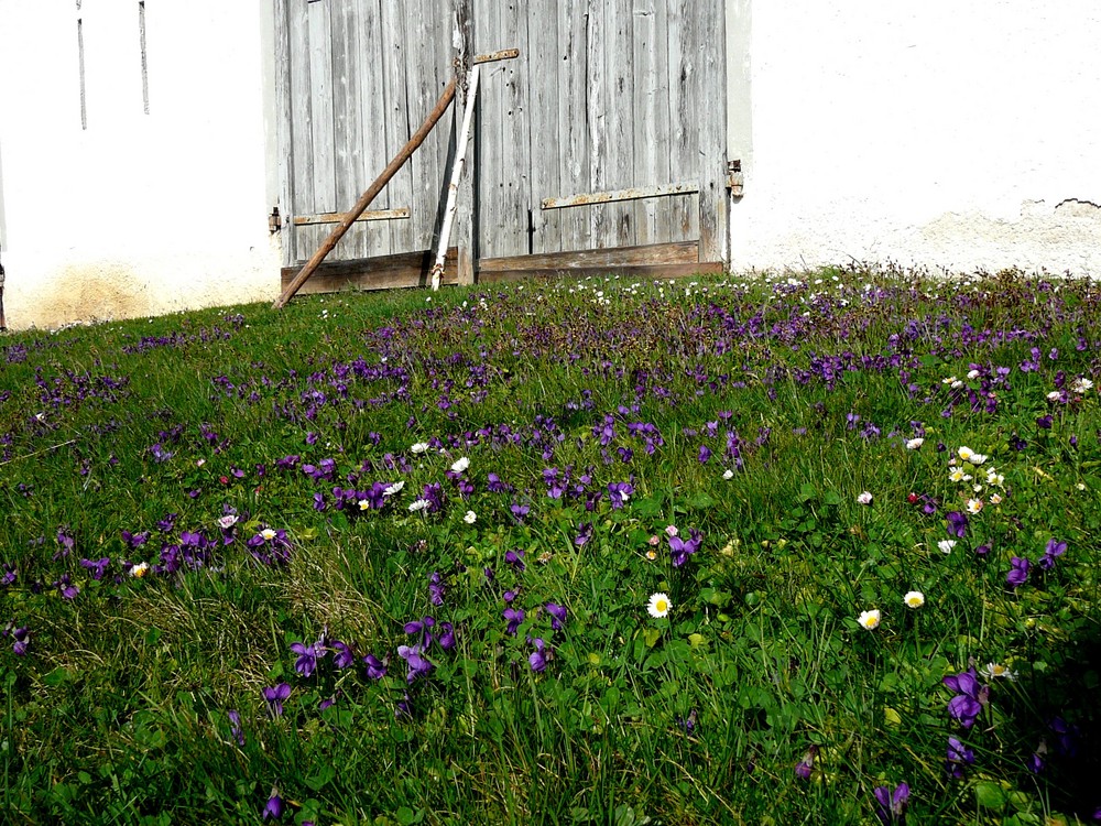 Blauer Hügel