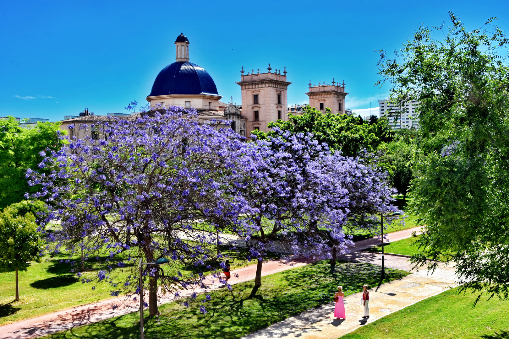 Blauer Jacarandá