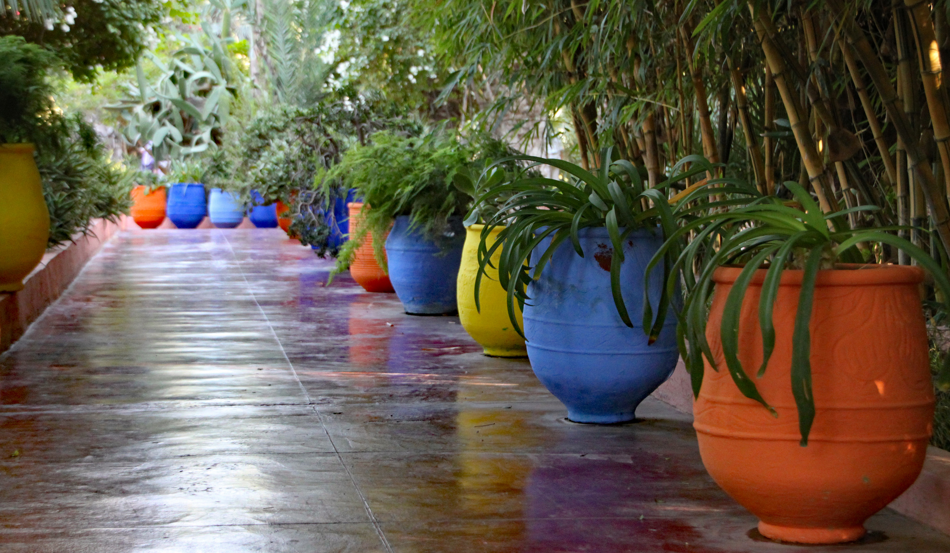 Blauer Jardin Majorelle in Marrakesch