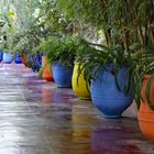 Blauer Jardin Majorelle in Marrakesch