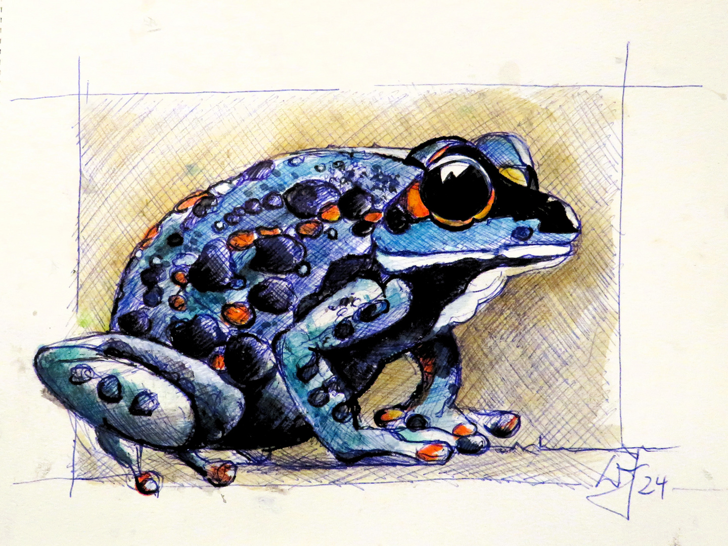 Blauer Kuligiftfrosch