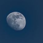 Blauer Mond