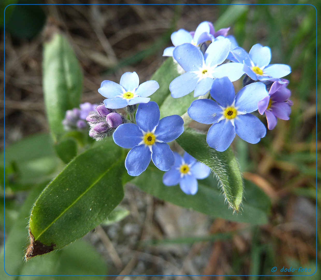 ~ blauer Montag ~