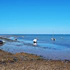 Blauer Montag am Meer