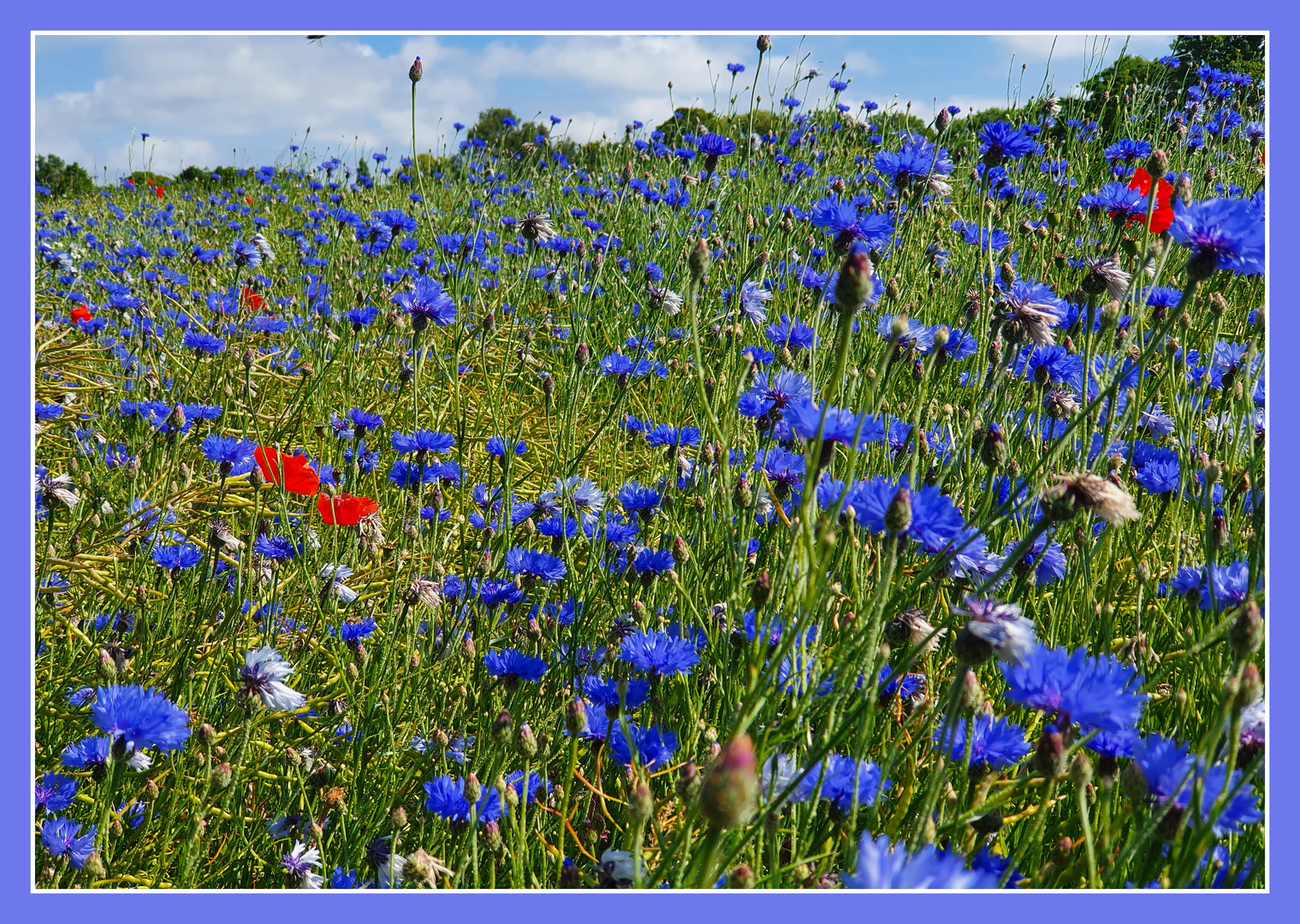 Blauer Montag auf Rügen