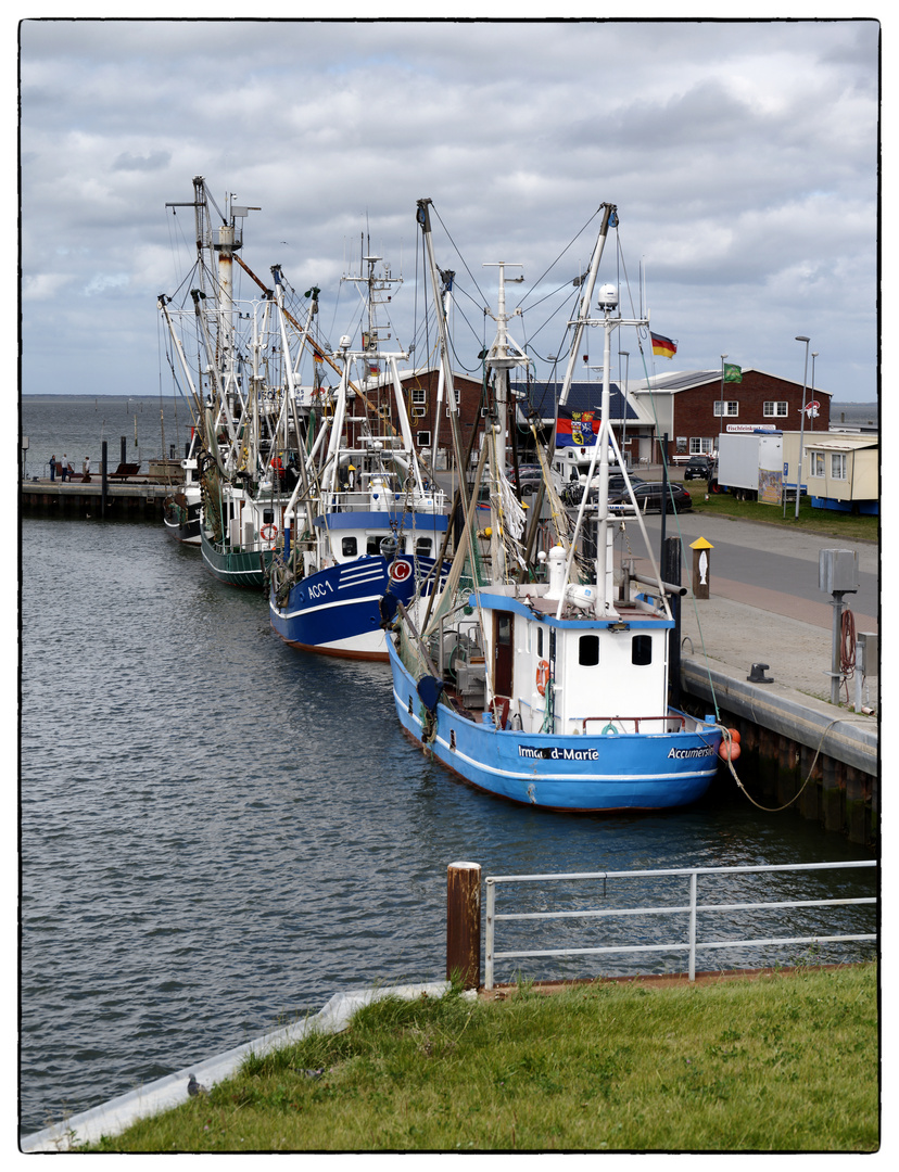 Blauer Montag - blaue Fischkutter...