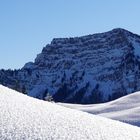 Blauer Montag ... ein Seniorenprivileg ?