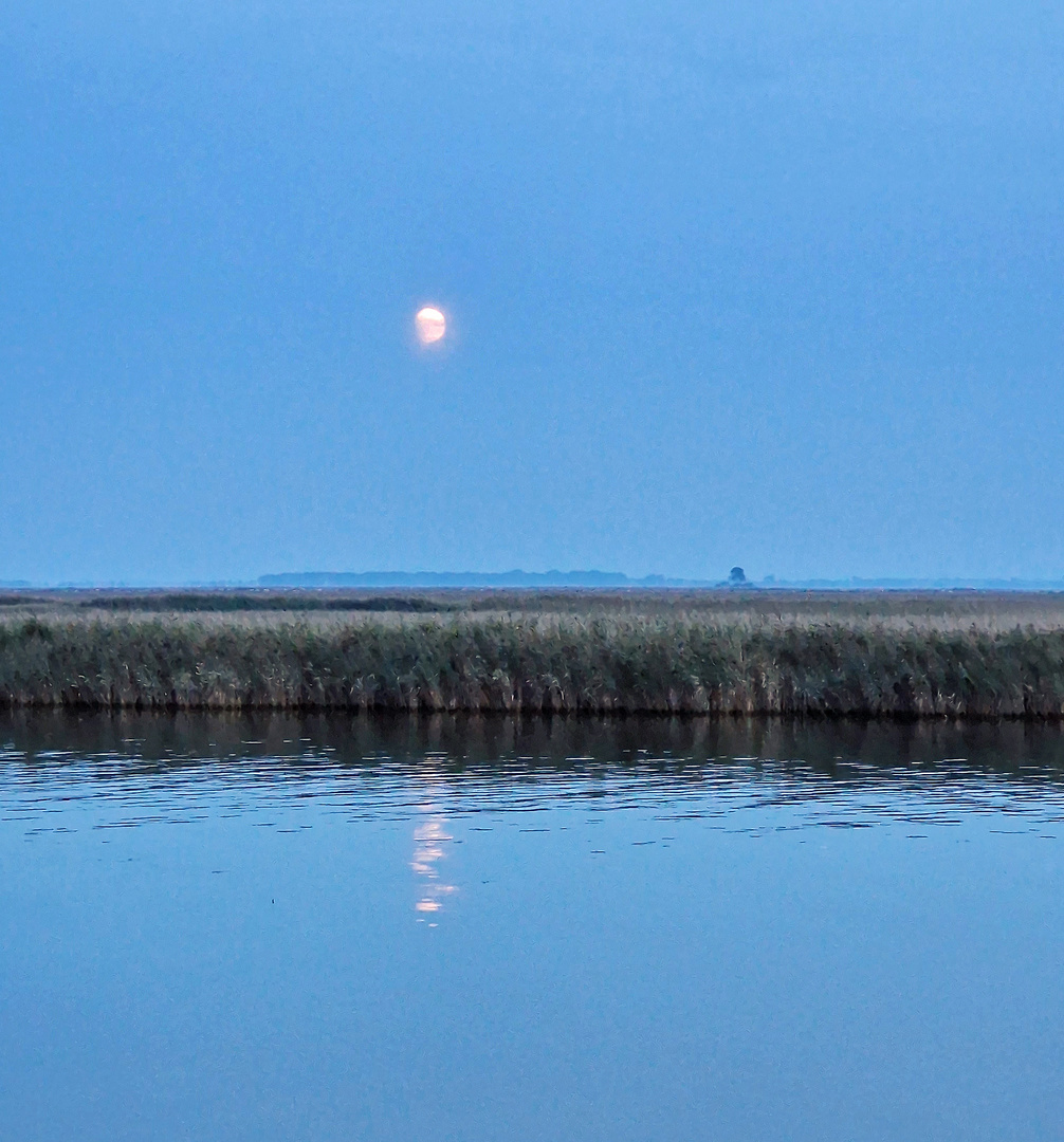 Blauer Montag - Fischland - Darß - Zingst